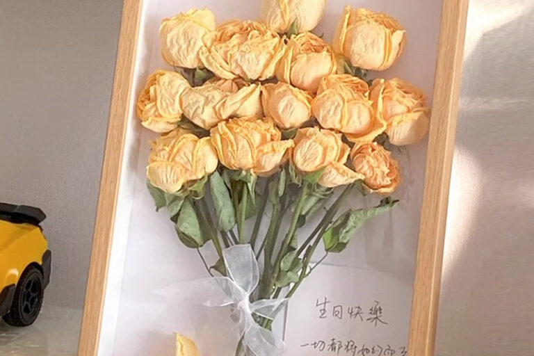 DIY 3D Hollow Wooden Frame for Specimens and Display