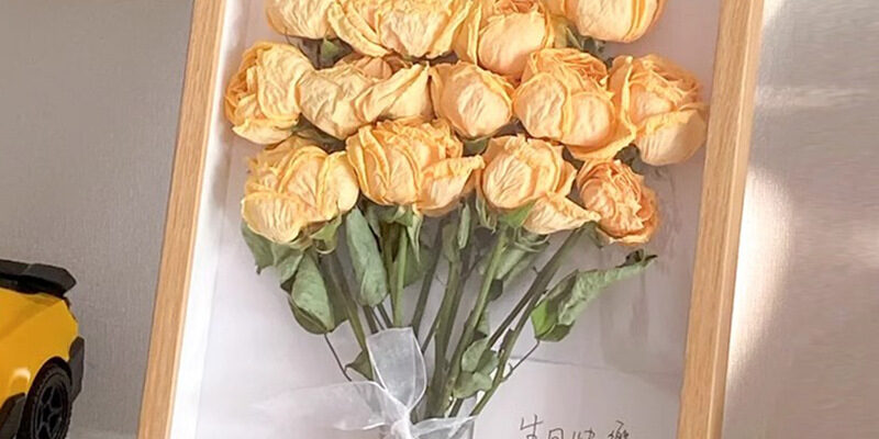 DIY 3D Hollow Wooden Frame for Specimens and Display