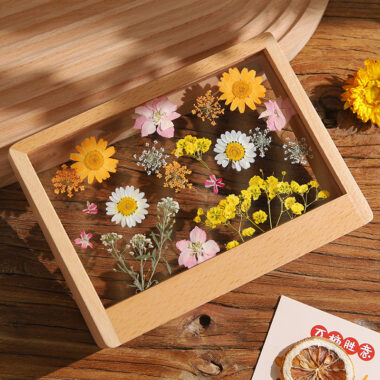 DIY Dried Flower Frame for Pressed Flowers & Plant Specimens