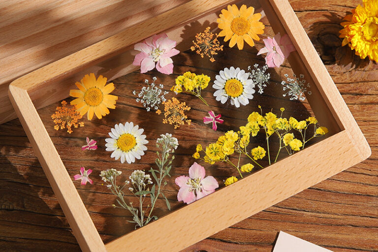 DIY Dried Flower Frame for Pressed Flowers & Plant Specimens