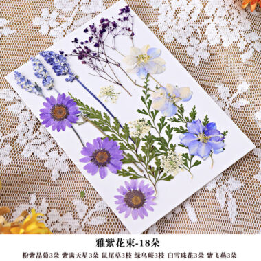DIY Dried Flower Frame for Pressed Flowers & Plant Specimens