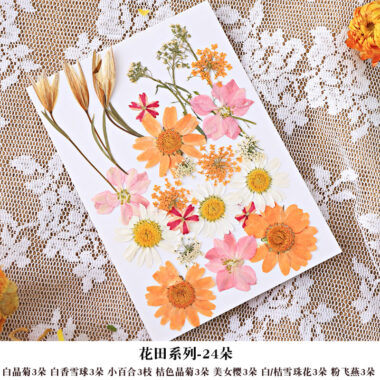 DIY Dried Flower Frame for Pressed Flowers & Plant Specimens
