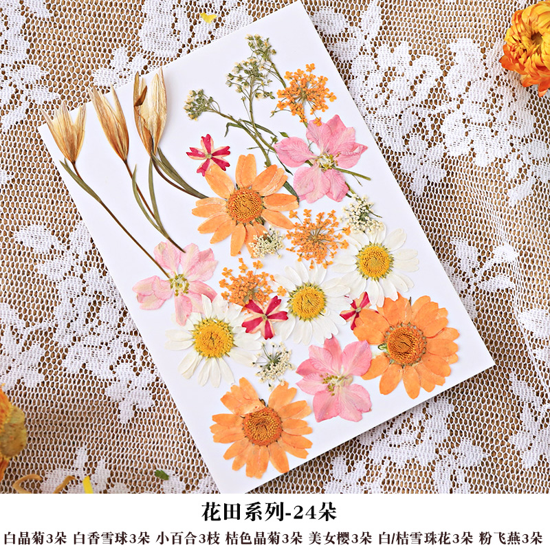 DIY Dried Flower Frame for Pressed Flowers & Plant Specimens