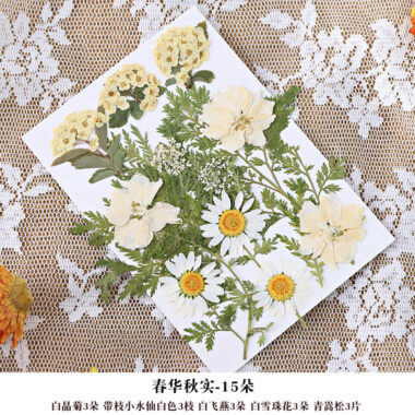DIY Dried Flower Frame for Pressed Flowers & Plant Specimens