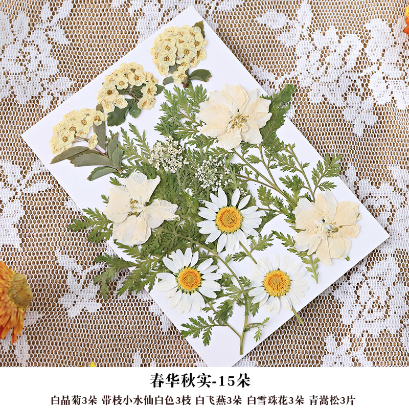 DIY Dried Flower Frame for Pressed Flowers & Plant Specimens