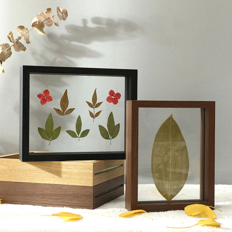 Natural Wood Double-Sided Glass Frame for Leaf Specimen and Carving Display