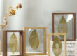 Natural Wood Double-Sided Glass Frame for Leaf Specimen and Carving Display