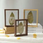 Natural Wood Double-Sided Glass Frame for Leaf Specimen and Carving Display