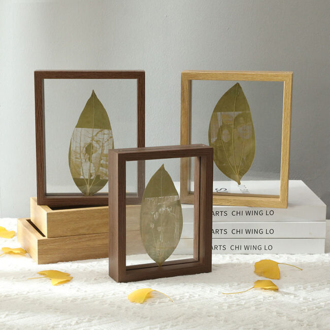 Natural Wood Double-Sided Glass Frame for Leaf Specimen and Carving Display