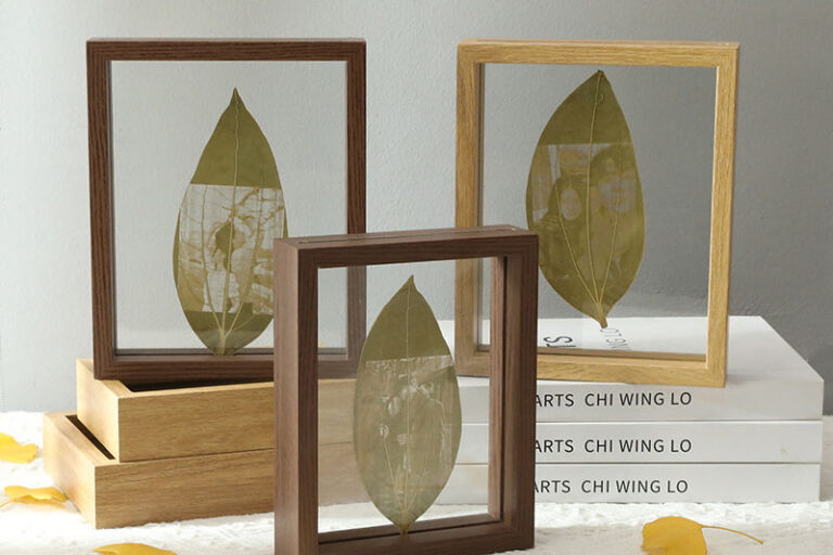 Natural Wood Double-Sided Glass Frame for Leaf Specimen and Carving Display