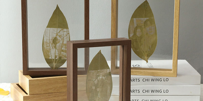 Natural Wood Double-Sided Glass Frame for Leaf Specimen and Carving Display