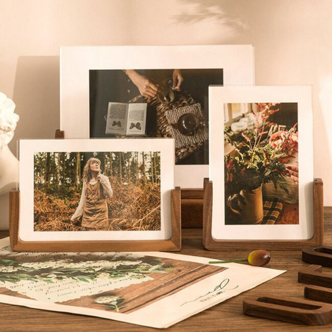 DIY 3D Wood Frame with Dried Flower and Shell Specimen