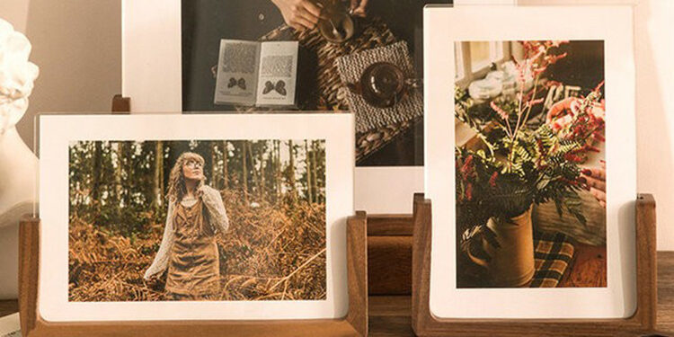 DIY 3D Wood Frame with Dried Flower and Shell Specimen