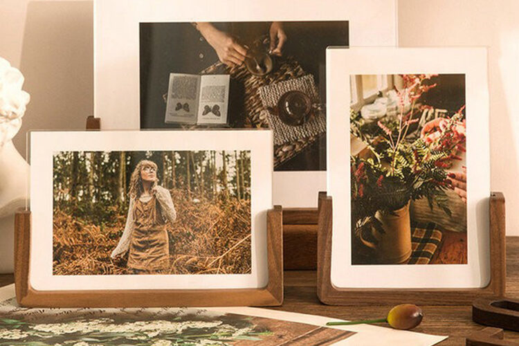 DIY 3D Wood Frame with Dried Flower and Shell Specimen