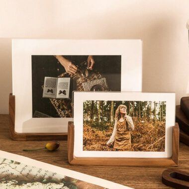 DIY 3D Wood Frame with Dried Flower and Shell Specimen

