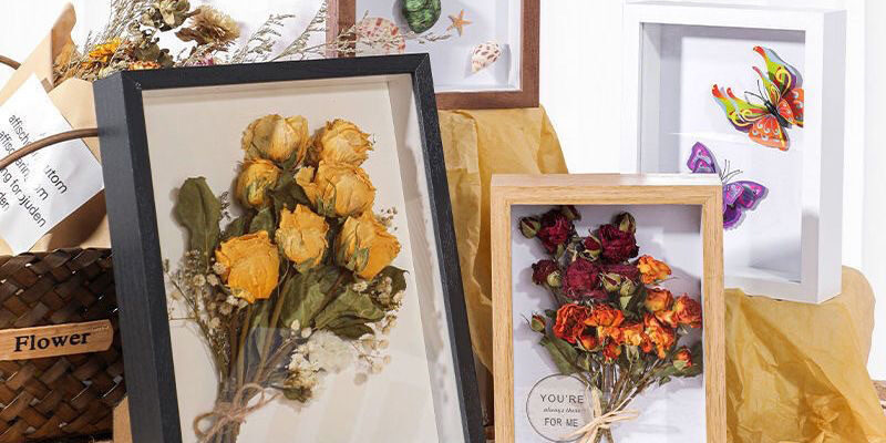DIY 3D Wood Frame with Dried Flower and Shell Specimen
