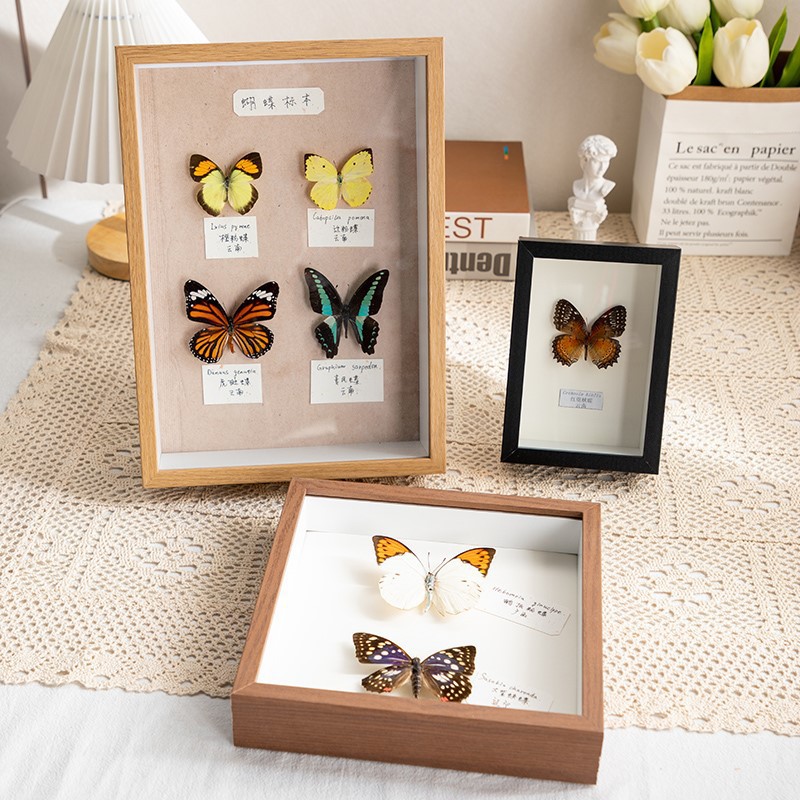 DIY 3D Wood Frame with Dried Flower and Shell Specimen