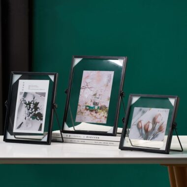 Light luxury transparent glass metal frame for photos and plant specimens