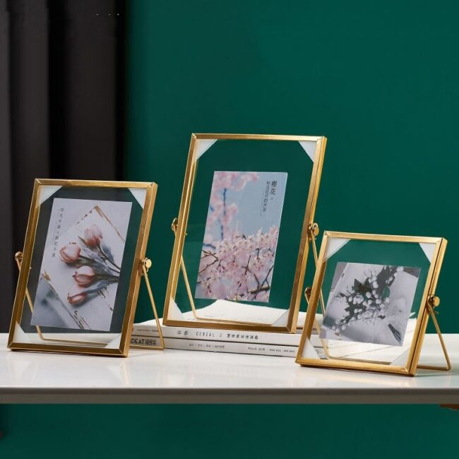 Light luxury transparent glass metal frame for photos and plant specimens