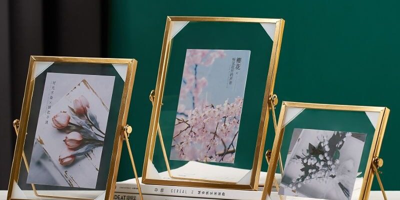 Light luxury transparent glass metal frame for photos and plant specimens